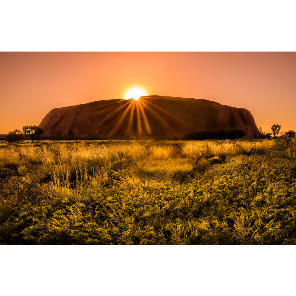 Uluru Sunrise