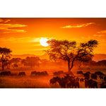 Load image into Gallery viewer, Serengeti Sunset
