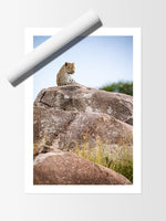Load image into Gallery viewer, Pride Rock
