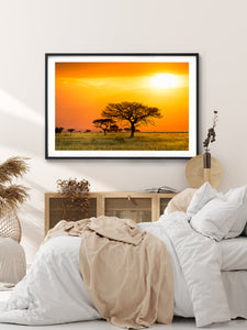 Serengeti Sunrise