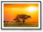 Load image into Gallery viewer, Serengeti Sunrise
