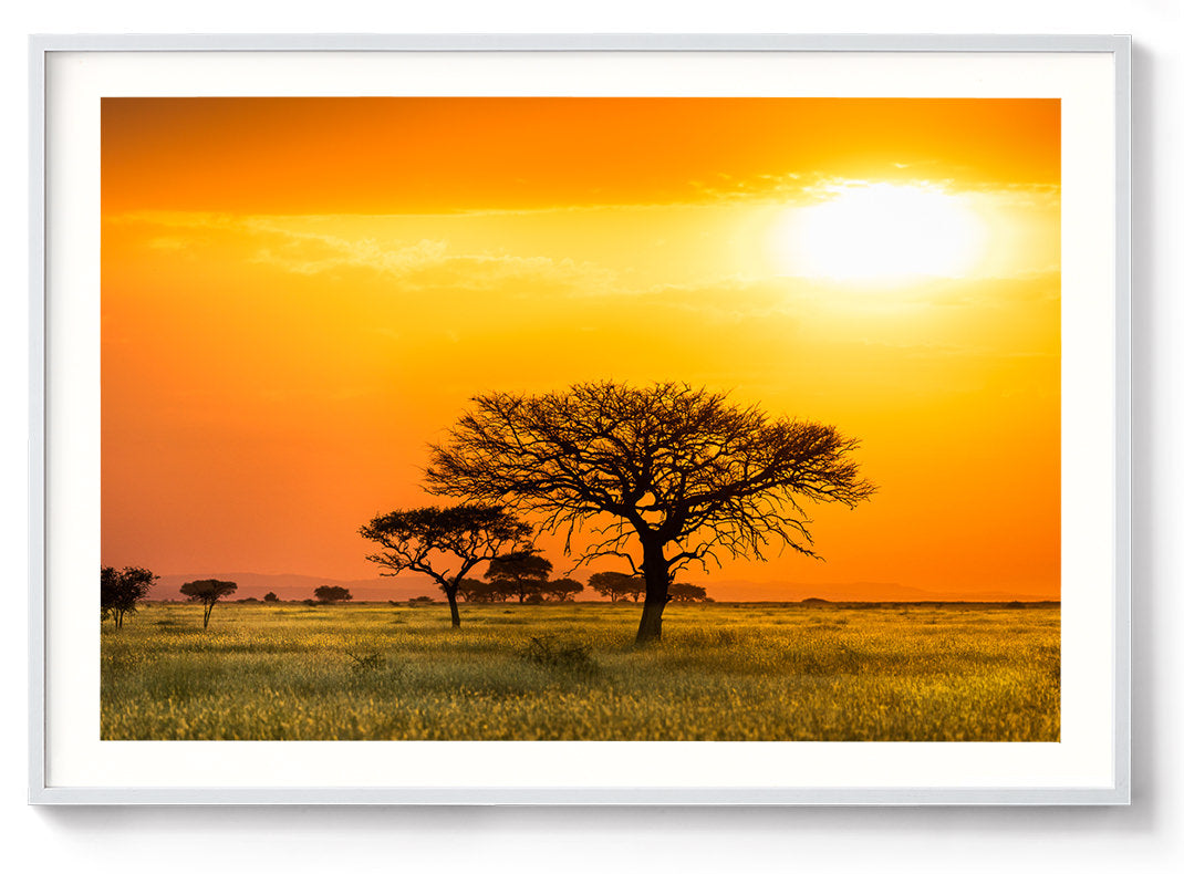 Serengeti Sunrise