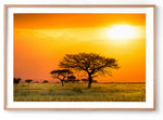 Load image into Gallery viewer, Serengeti Sunrise
