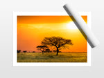 Load image into Gallery viewer, Serengeti Sunrise
