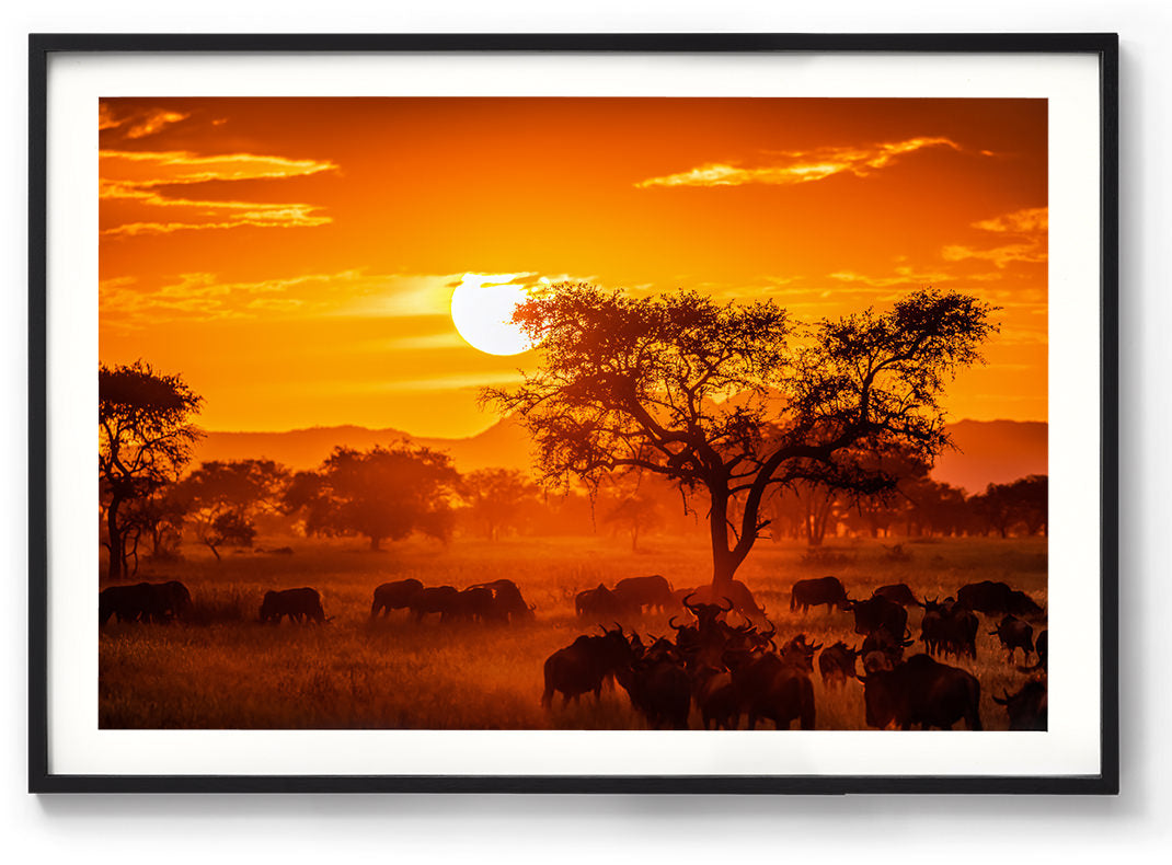 Serengeti Sunset