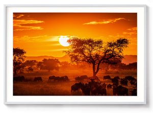 Serengeti Sunset