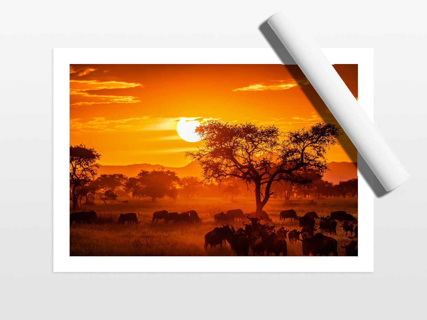 Serengeti Sunset